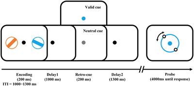Neural and behavioral evidence supporting the relationship between habitual exercise and working memory precision in healthy young adults